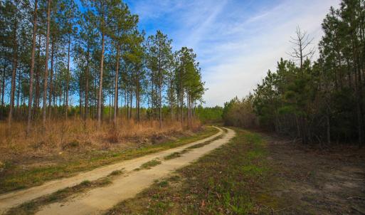 Photo #40 of SOLD property in 916 Republican Road, Windsor, NC 275.0 acres