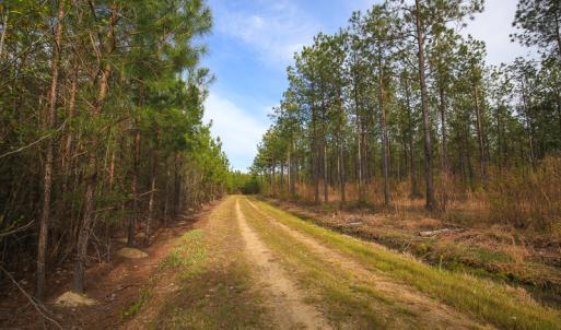 Photo #41 of SOLD property in 916 Republican Road, Windsor, NC 275.0 acres