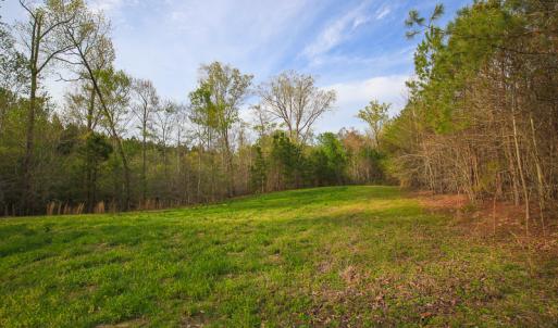 Photo #43 of SOLD property in 916 Republican Road, Windsor, NC 275.0 acres