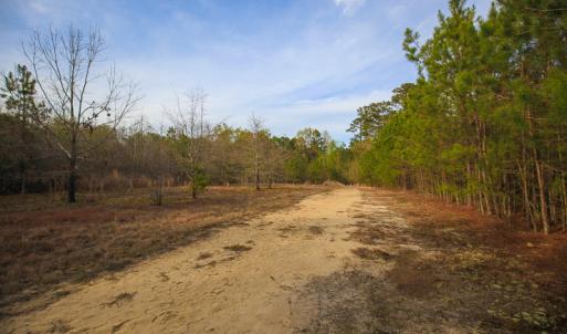Photo #44 of SOLD property in 916 Republican Road, Windsor, NC 275.0 acres