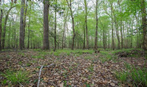 Photo #46 of SOLD property in 916 Republican Road, Windsor, NC 275.0 acres