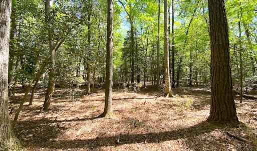 Photo #2 of Off Meherrin Road, Boykins, VA 1.8 acres