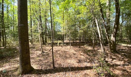 Photo #3 of Off Meherrin Road, Boykins, VA 1.8 acres