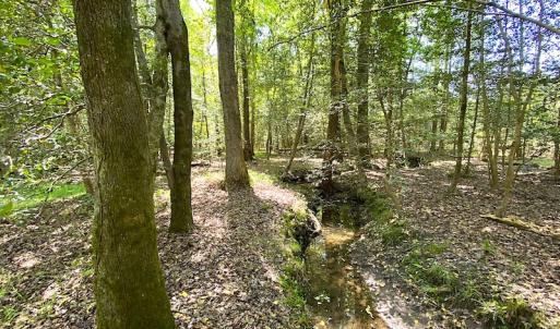 Photo #4 of Off Meherrin Road, Boykins, VA 1.8 acres