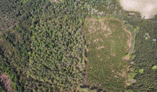 Photo #3 of Off Ware Drive, Nichols, SC 23.3 acres