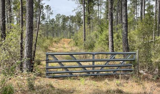Photo #5 of Off Ware Drive, Nichols, SC 23.3 acres