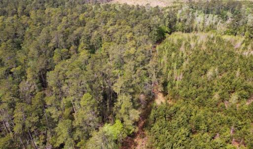 Photo #18 of Off Ware Drive, Nichols, SC 23.3 acres