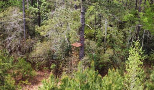 Photo #22 of Off Ware Drive, Nichols, SC 23.3 acres