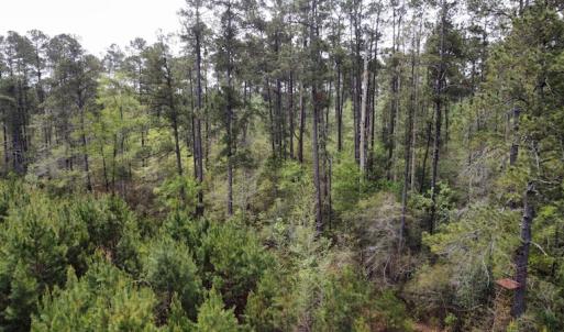 Photo #23 of Off Ware Drive, Nichols, SC 23.3 acres