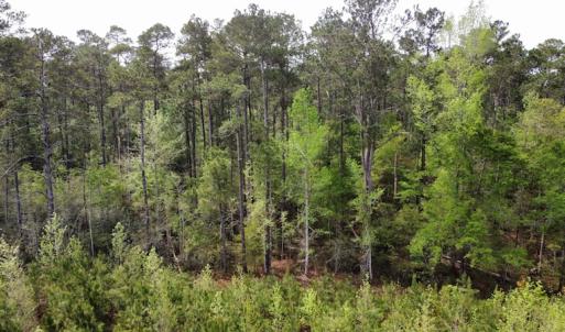 Photo #24 of Off Ware Drive, Nichols, SC 23.3 acres