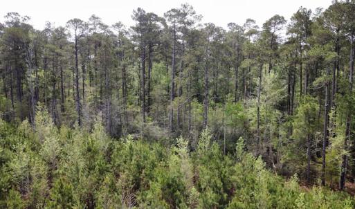 Photo #25 of Off Ware Drive, Nichols, SC 23.3 acres