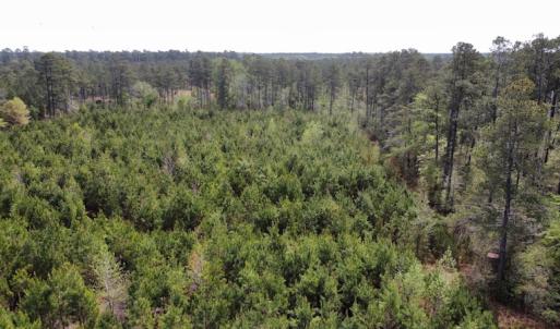 Photo #26 of Off Ware Drive, Nichols, SC 23.3 acres