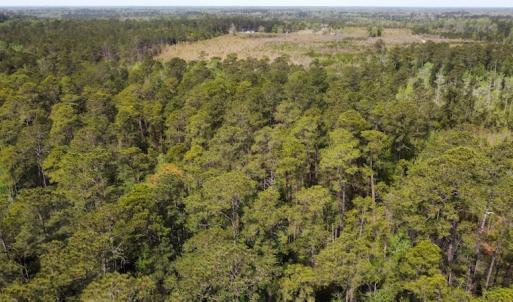 Photo #27 of Off Ware Drive, Nichols, SC 23.3 acres