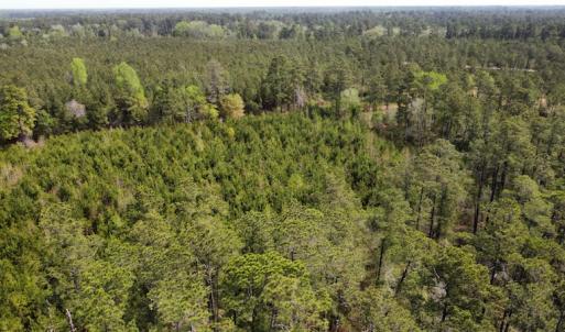 Photo #28 of Off Ware Drive, Nichols, SC 23.3 acres