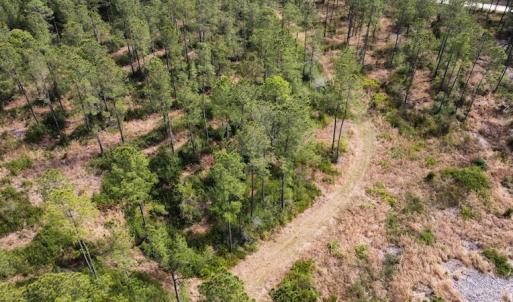 Photo #29 of Off Ware Drive, Nichols, SC 23.3 acres