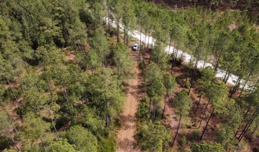 Photo #30 of Off Ware Drive, Nichols, SC 23.3 acres