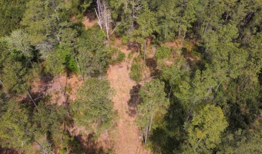 Photo #7 of Off Ware Drive, Nichols, SC 23.3 acres