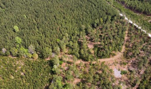 Photo #31 of Off Ware Drive, Nichols, SC 23.3 acres