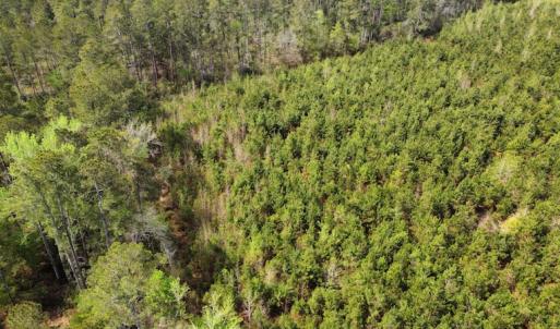 Photo #9 of Off Ware Drive, Nichols, SC 23.3 acres