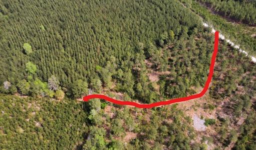 Photo #2 of Off Ware Drive, Nichols, SC 23.3 acres