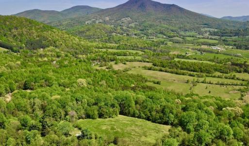 Photo #7 of SOLD property in 1532 Wideview Drive, Thaxton, VA 5.2 acres