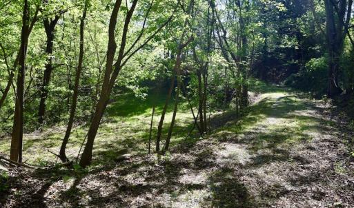 Photo #12 of SOLD property in 1532 Wideview Drive, Thaxton, VA 5.2 acres