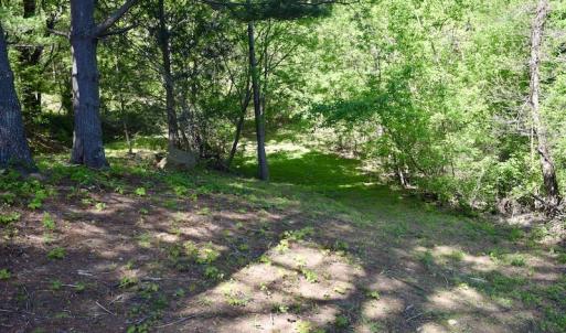 Photo #13 of SOLD property in 1532 Wideview Drive, Thaxton, VA 5.2 acres