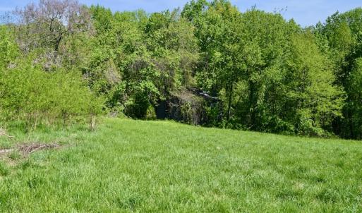 Photo #26 of SOLD property in 1532 Wideview Drive, Thaxton, VA 5.2 acres