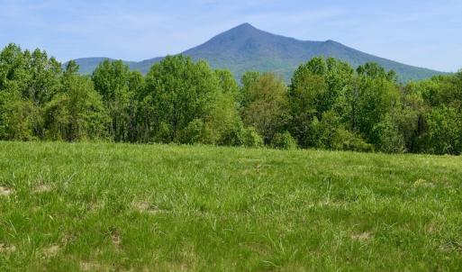 Photo #29 of SOLD property in 1532 Wideview Drive, Thaxton, VA 5.2 acres