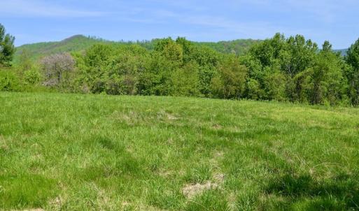 Photo #31 of SOLD property in 1532 Wideview Drive, Thaxton, VA 5.2 acres