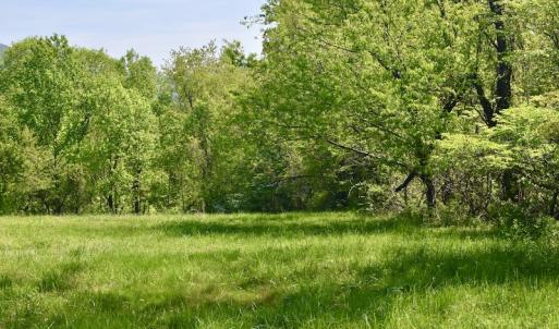 Photo #32 of SOLD property in 1532 Wideview Drive, Thaxton, VA 5.2 acres