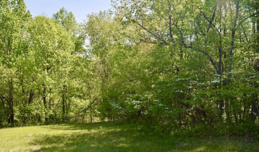 Photo #33 of SOLD property in 1532 Wideview Drive, Thaxton, VA 5.2 acres