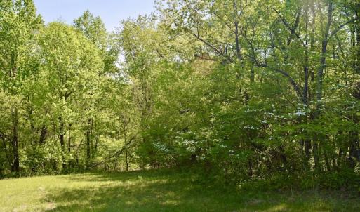 Photo #33 of SOLD property in 1532 Wideview Drive, Thaxton, VA 5.2 acres