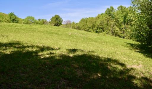 Photo #36 of SOLD property in 1532 Wideview Drive, Thaxton, VA 5.2 acres