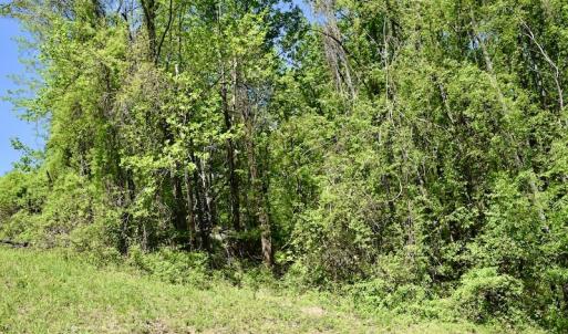 Photo #37 of SOLD property in 1532 Wideview Drive, Thaxton, VA 5.2 acres