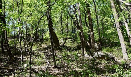 Photo #38 of SOLD property in 1532 Wideview Drive, Thaxton, VA 5.2 acres