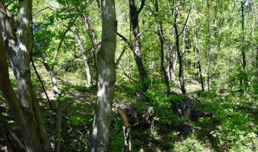 Photo #40 of SOLD property in 1532 Wideview Drive, Thaxton, VA 5.2 acres
