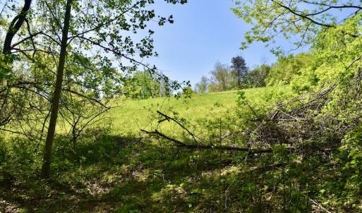 Photo #41 of SOLD property in 1532 Wideview Drive, Thaxton, VA 5.2 acres