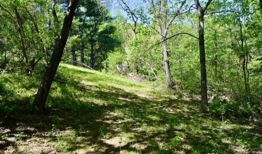 Photo #43 of SOLD property in 1532 Wideview Drive, Thaxton, VA 5.2 acres