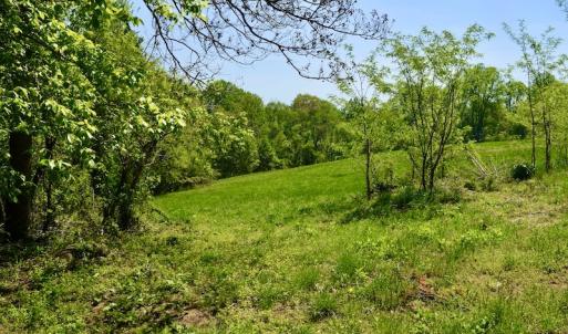 Photo #44 of SOLD property in 1532 Wideview Drive, Thaxton, VA 5.2 acres