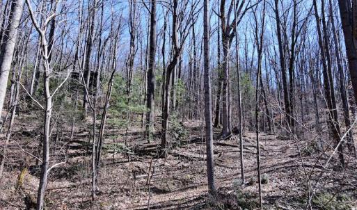 Photo #12 of SOLD property in Off Cripple Creek Road, Afton, VA 4.9 acres