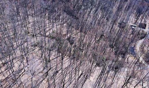 Photo #15 of SOLD property in Off Cripple Creek Road, Afton, VA 4.9 acres