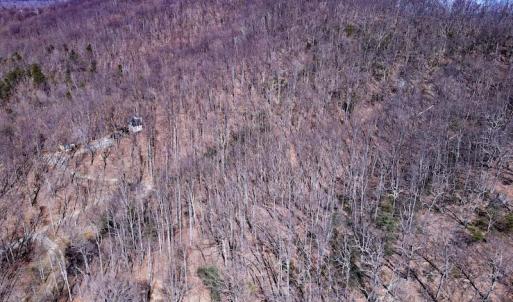 Photo #16 of SOLD property in Off Cripple Creek Road, Afton, VA 4.9 acres