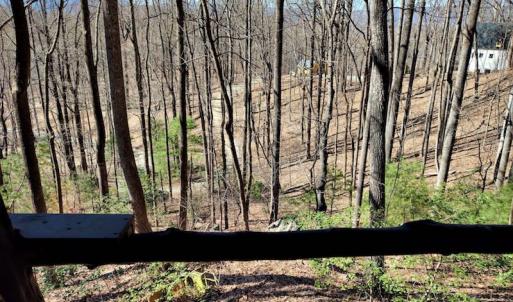 Photo #10 of SOLD property in Off Cripple Creek Road, Afton, VA 4.9 acres