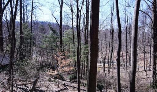 Photo #11 of SOLD property in Off Cripple Creek Road, Afton, VA 4.9 acres