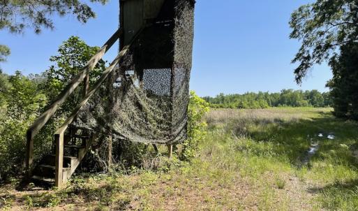 Photo #2 of SOLD property in Off State Highway 13, Florence, SC 92.2 acres
