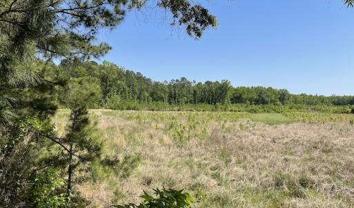 Photo #3 of SOLD property in Off State Highway 13, Florence, SC 92.2 acres