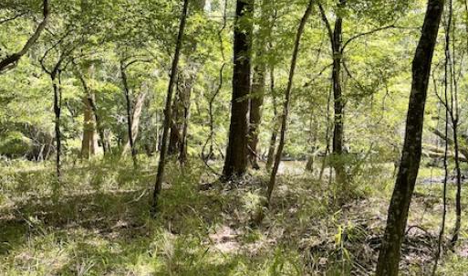 Photo #9 of Off State Highway 13, Florence, SC 92.2 acres
