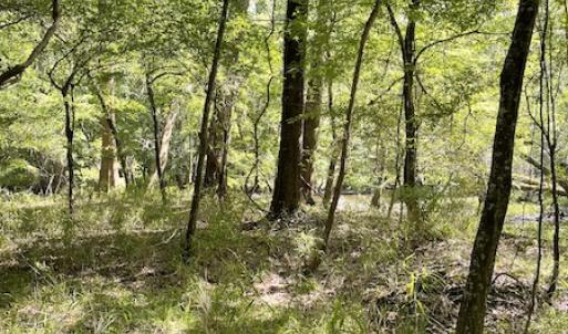 Photo #9 of SOLD property in Off State Highway 13, Florence, SC 92.2 acres