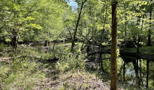 Photo #10 of SOLD property in Off State Highway 13, Florence, SC 92.2 acres